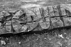 Lothar Rumold: Lebensweg 5, 2007, Eiche