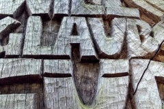 Lothar Rumold: Lebensweg 1, 2007, Eiche