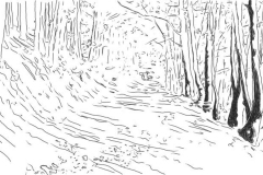 Lothar Rumold: Waldweg bei La Vancelle, 2017, Tablet-Zeichnung, 41:70